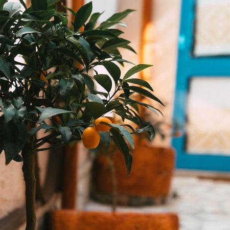 B&B Ziu Anacletu Villaputzu Exteriör bild